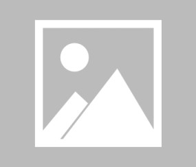 NG SPORTS-关于Ning连续七场比赛得分超过出色防守，日本队挑战极限！的信息